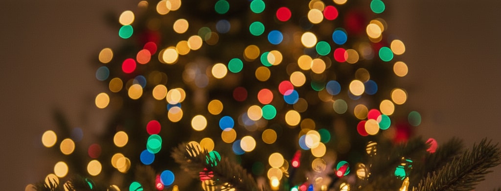 bokeh christmas lights Asheville